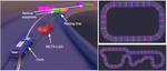 Towards Optimal Head-to-Head Autonomous Racing with Curriculum Reinforcement Learning